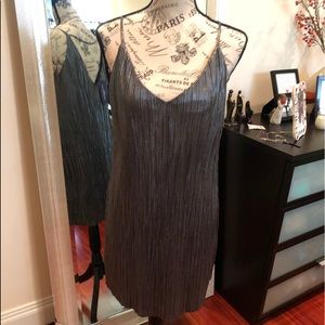 NWT Gorgeous pleaded platinum/silver lined dress.